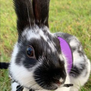 Meet your Posher, Ellie